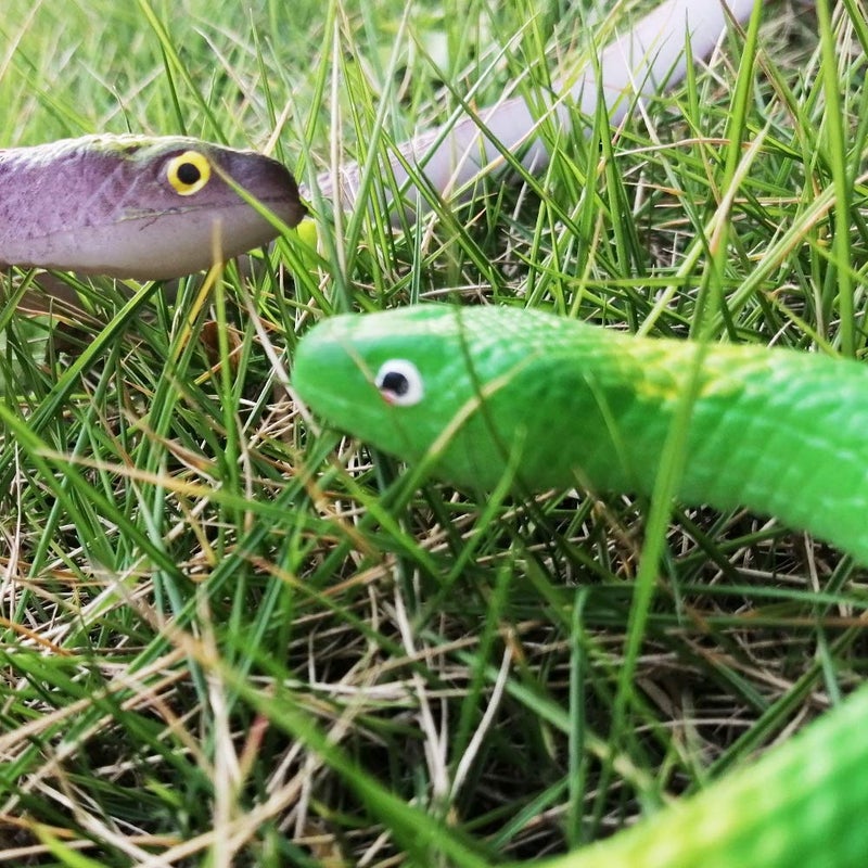 Lechay Rubber Snakes to Keep Birds Away,4 Pieces 29 Inch Realistic Rubber Snakes, Pranks, Halloween Decoration, Fake Snake for Garden Props to Scare Birds, Squirrels, Mice - Image 3